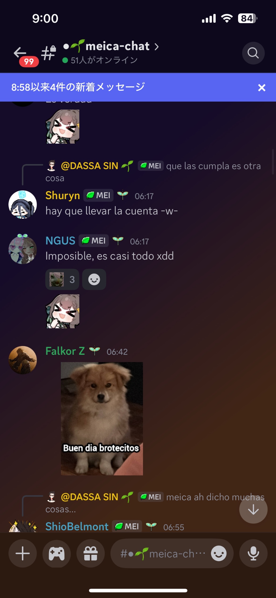 Server meica-chat 3